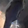 Blake Haynes - @blake.haynes36 - TikTok