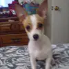 blakehaynes - @zzzzooooeeeey - TikTok