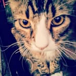 Blake hebert - @blakhebert0100 - Instagram
