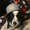 Blakeherring2113 - @blakeherring2113 - TikTok