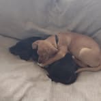Blake Hess - Facebook