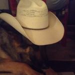 blake hess - @bowdog101 - Instagram