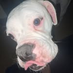 Blake Hines - @blakehines665 - Instagram