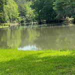 Blake Hinton - @blake.hinton.77 - Instagram
