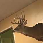 Blake Holder - @holder9155 - Instagram