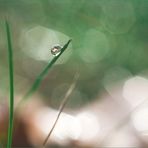 Blake Jarvis - Facebook