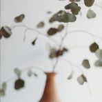 Komo Kyra Blake Jarvis - Facebook