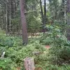 Blake.Jolley07 - @blake.jolley - TikTok