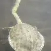 B_j11 - @blake.jensen2 - TikTok