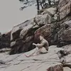Blake Jensen - @blakejensen_ - TikTok
