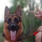 Blake Joseph - Facebook