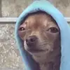 blakekincaid19 - @blakekincaid19 - TikTok