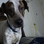 Blake kiser - @th3y_luv85 - Instagram