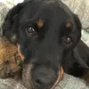 Blake - @blakemacdonald - TikTok