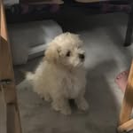 Blake Mcgregor - @blake.mcgregor.507 - Instagram