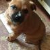 Blake Messer - Facebook