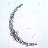 Blake Moon - @flyon97 - TikTok