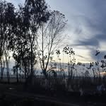 blakemoon - @blake_moon555 - Instagram