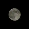 moonlight/Blake - @moonlight_blake - TikTok