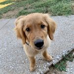 Blakely Palma - @blakely_palma - Instagram