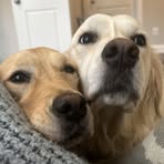 Blake Palmer - Facebook