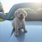 Blake Palmer - Facebook