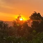 Blakepalmer - @blakepalmer2000 - Instagram