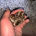 Blake Parrish - Facebook
