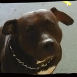 Blake Pate - @blakepate25 - Instagram