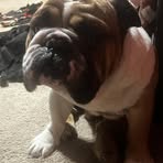 Blake Pate - Facebook
