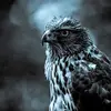 Blake Paxton - @blake.paxton - TikTok
