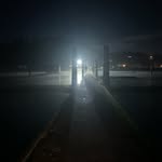 Blake Pennington - @blakethepenguin - Instagram