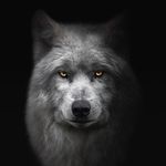 Blake Pierson - @pierson5395 - Instagram