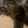 Blake_pinson67 - @blakepinson67 - TikTok