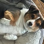 Blake Pinson - Facebook