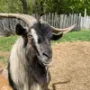 Blakepinson - @user6147599233012 - TikTok
