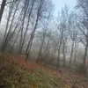blakepurnell64 - @blakepurnell64 - TikTok