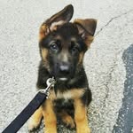 Blake Rector - @251_blake - Instagram