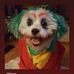 Blake Redfield - Facebook