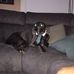 Blake Richardson - Facebook