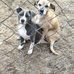 Blake Richardson - Facebook