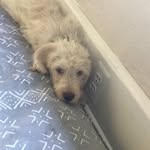Blake Riggs - @hankerdoodle_the_best - Instagram