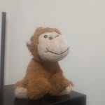 Blake Rousell - @blakerousell_ - Instagram