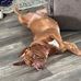 Blake Russo - Facebook