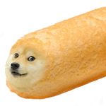 Blake Sargent - @doge_a_twinke - Instagram