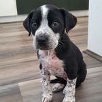 Blake Sargent - @sargentboy09 - Instagram