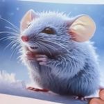 Blake Schwartz - @blakeschwartz4 - Instagram