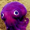 Blake Schwartz - @father.of.squids - TikTok