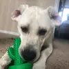 Blake Schwarz - @balakay.spam - TikTok