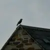 Blake Scott - @b.tsgs - TikTok